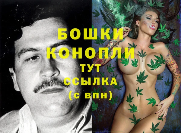 винт Алзамай